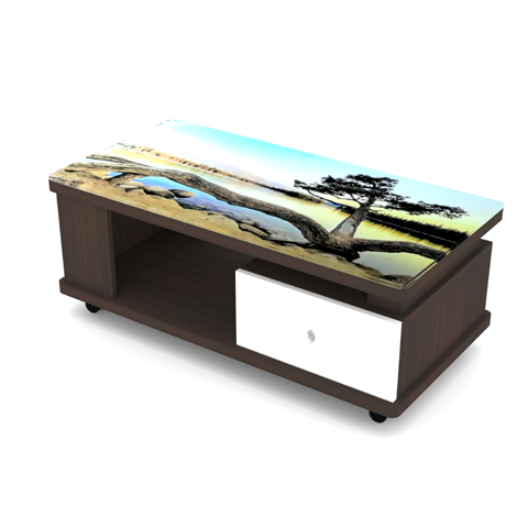 SCT 319 Coffee Table